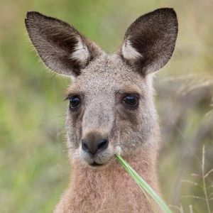 Meet your Posher, Brenna